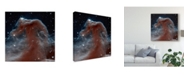 Trademark Global Unknown Space Photography IX Canvas Art - 27" x 33"